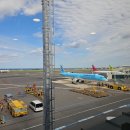 여행신화 | 아기랑 강아지랑 함께 떠난 제주도 여행✈️중문숙소,신화빌라스 숙박후기