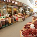 미나리광 이미지