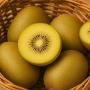 키위 이미지