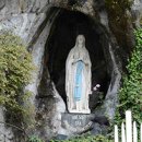 성모기획 이미지