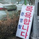 나르샤병원 | 내가 돼지 같은 게 아니라 돼지가 나 같은 거야