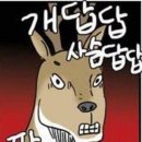 에덴병원 네이버블로그