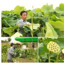 청연마을 이미지