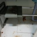 봉동주공1차아파트 이미지