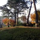 명성타운공인중개사사무소 | 삼성동 청담동 매매 전세 월세 전반 중개 삼성래미안 2차상가 1층 114호 명성타운부동산 02/541-2222