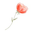 돈암병설유치원 이미지