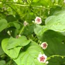 나도 그림책 작가 이미지