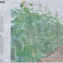 여름 그림책 놀이 이미지