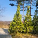 햇빛가득약국 이미지