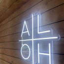 섬 게스트하우스 | 7월 하와이] 오하우섬 / 와이키키랑 가까운 게스트하우스 Honu Waikiki / 2번째 내돈내산 방문 후기와 꿀팁