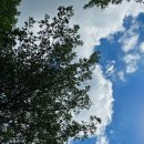 책놀이 지도사 자격증 과정 이미지