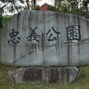 곡성하송 이미지