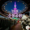 도화공원화장실 | 인천 수봉공원 벚꽃 야경 명소 스카이워크 주차 화장실 정보