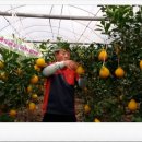 대룡농장 이미지