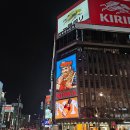 이레목장 | 11월 삿포로 비에이후라노 버스투어 인디고트래블 후기 (이레가이드) 스냅촬영