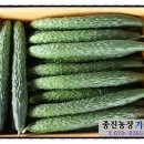 종진농장 네이버블로그