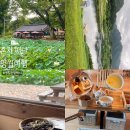 어느 날, 영월 산 책 | [강원도] 혼자 떠난, 영월 당일치기 여행🍀 feat.영택시