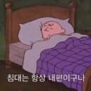 파로드시랑 이미지