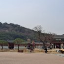 경기도 수원시 팔달구 정조로810번길 이미지