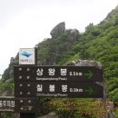 여기영 Daum카페