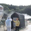 선제농장 이미지