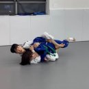 성남유도관 이미지