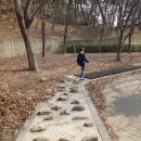 무양공원 유아숲체험원 이미지