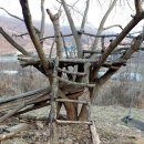 삼포주유소 이미지