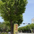 이대가촌집막국수.닭갈비