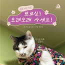 묘르신 | [설날 기념 모금] 묘르신, 오래오래 사세요!