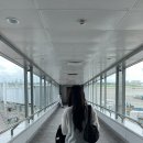 [호치민 일상] 쿠알라룸푸르 다녀오고 일상