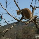 울집 태양광발전소 이미지