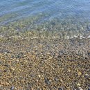 몽돌이해물칼국수 | 경남 거제 맛집 항아리해물칼국수 장목점 거제 칼국수 추천 후기