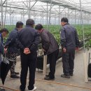 농부의꿈영농조합법인 이미지