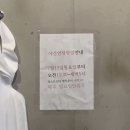 서산야식 | 서산 쭈사랑쭈꾸미 후기 심야식당 점심부터 늦게까지 하는 쭈꾸미 맛집 솔직 리뷰