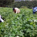 인제군농업기술센터 이미지