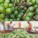 열매한의원 이미지