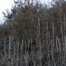 무진장농원 이미지