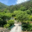 [C.02] 산속에 위치한 공기 좋은 강원도캠핑장 영월약수터캠핑장 (B-3 후기)