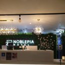 빅스마일민박 | [제주도 4박 5일] 제주 노블피아 호텔 2박 예약 및 숙박 후기