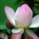 입곡문화공원 이미지