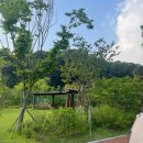 이마트에브리데이 쌍문동점 이미지