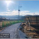 매화 태양광발전소 이미지