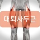 위드짐 이미지