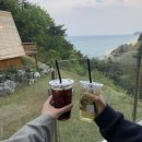 강릉스테이(STAY) 이미지