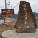 중간상사리 이미지