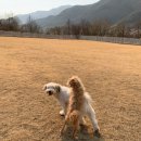 대창통닭 이미지