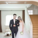 헤어도로시 | 스튜디오 웨딩사진 사설보정 5군데 비교 후기: 같이사진/나유어스/도로시/라무드스튜디오/르레브스튜디오