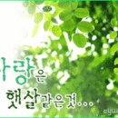 오늘 만난 노래/ 웃어라 동해야 OST(4월17일) 이미지