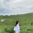 성일목장 이미지